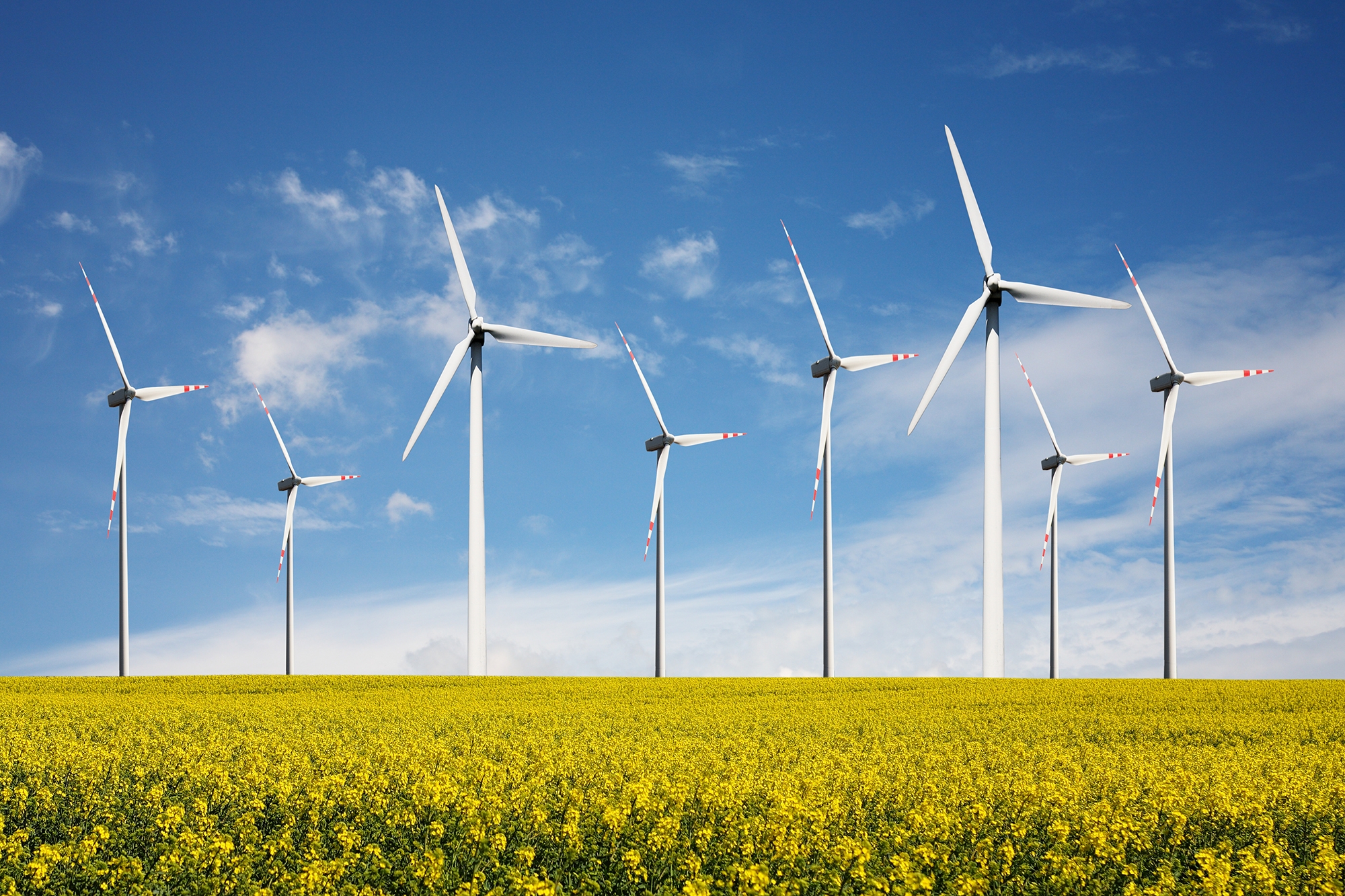 Energie rinnovabili: la sfida per il futuro