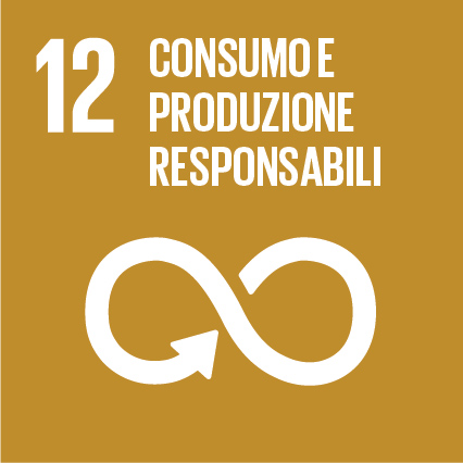 12 Consumo e produzione responsabili