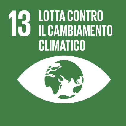 13 Lotta contro il cambiamento climatico