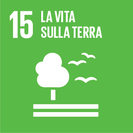 15 La vita sulla terra