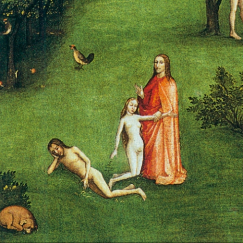 Porzione di immagine