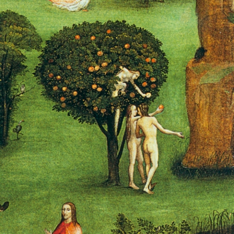 Porzione di immagine