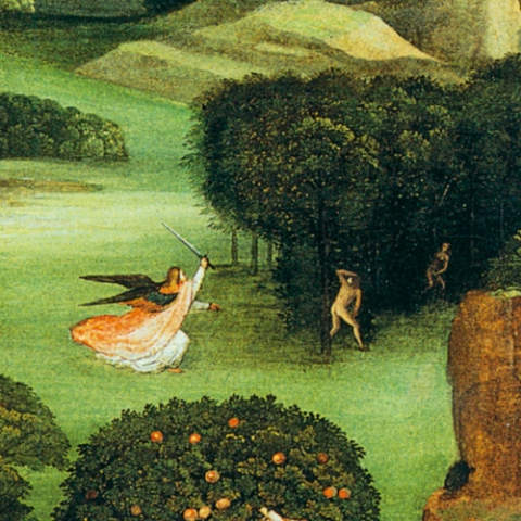 Porzione di immagine