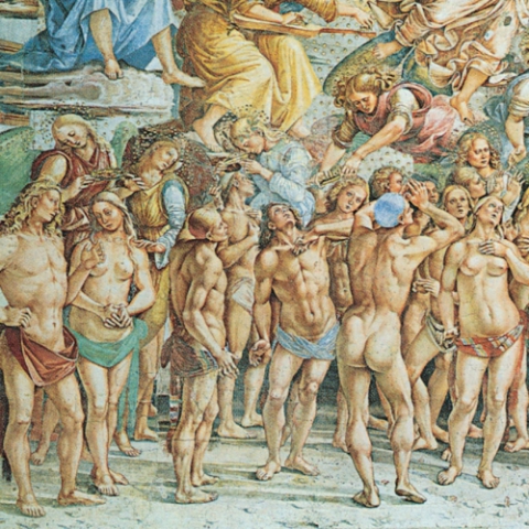 Porzione di immagine