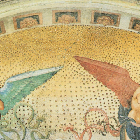 Porzione di immagine