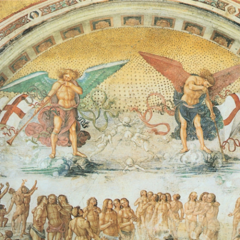 Porzione di immagine