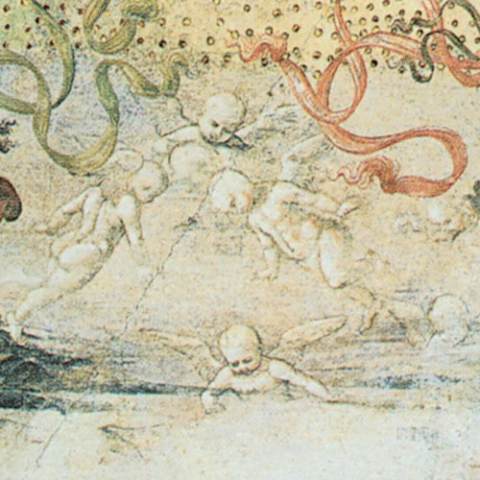 Porzione di immagine