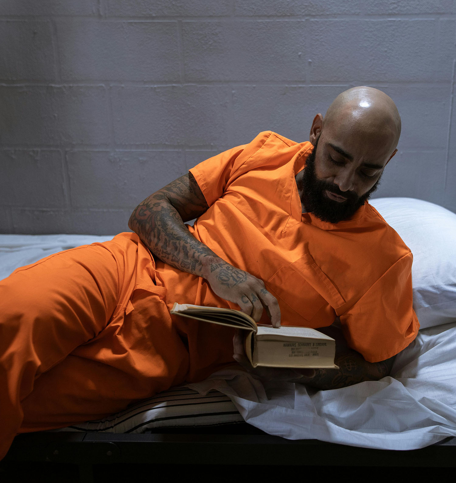 Descrizione dell'immagine